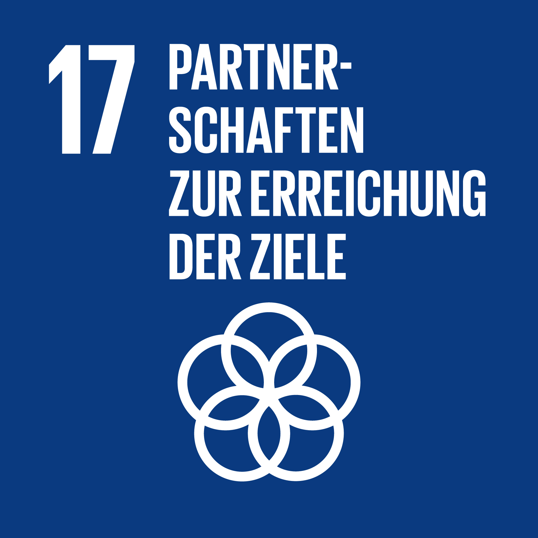 SDG 17: Partnerschaften zur Erreichung der Ziele 