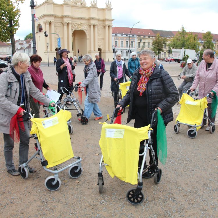 Gruppe älterer Menschen mit Rollatoren