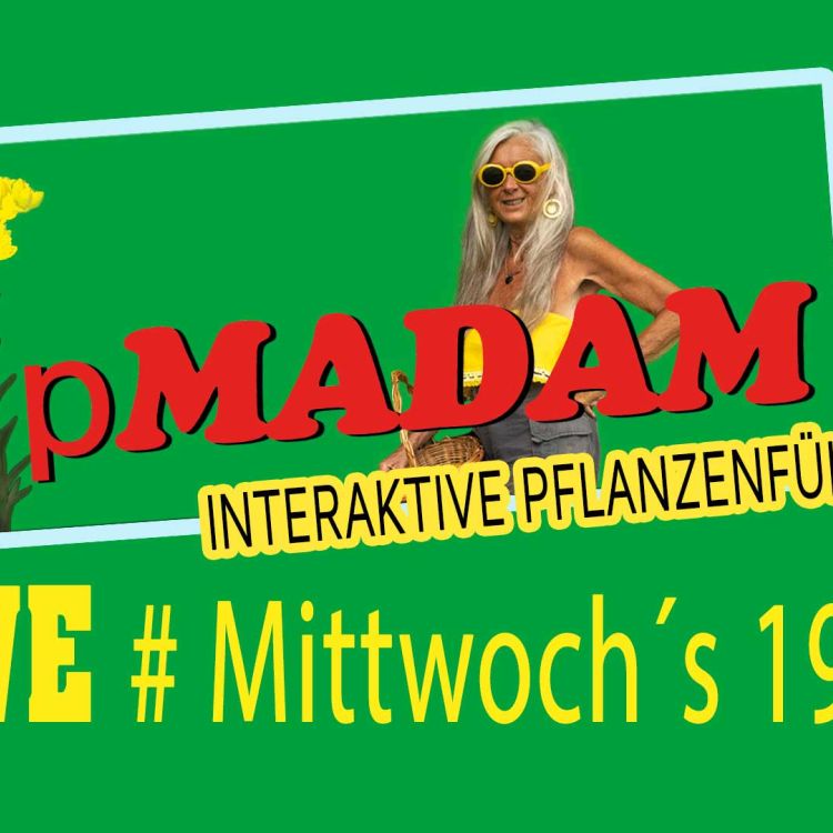 Grüner Hintergrund mit gelber Schrift "tripMadam Interaktive Pflanzenführung" Live, Mittwochs 19.00 Uhr