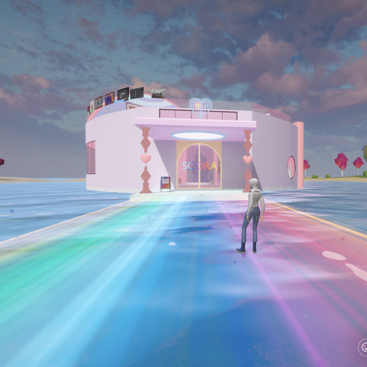 Einblick in die SCORA-Welt