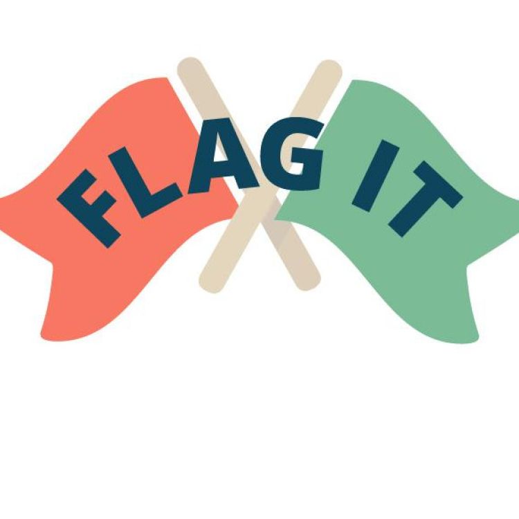 Logo des Serious Game "flag it"