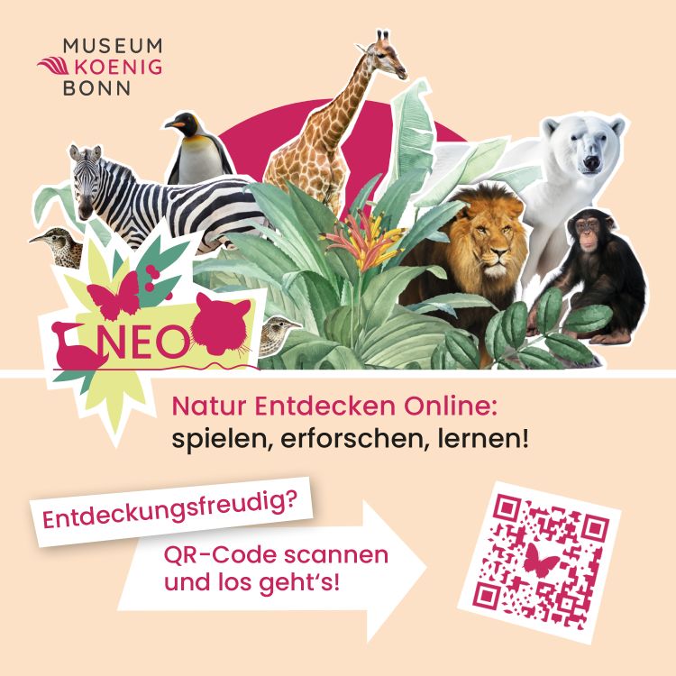 Grafik zur Natur Entdecken Online (NEO), die digitale Lernplattform des Museum Koenig Bonn 